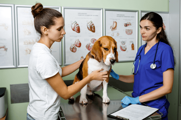 image for Don’t Save That Concern for Your Pet’s Next Checkup